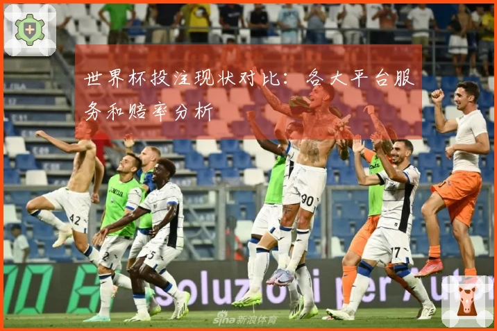 世界杯投注现状对比：各大平台服务和赔率分析
