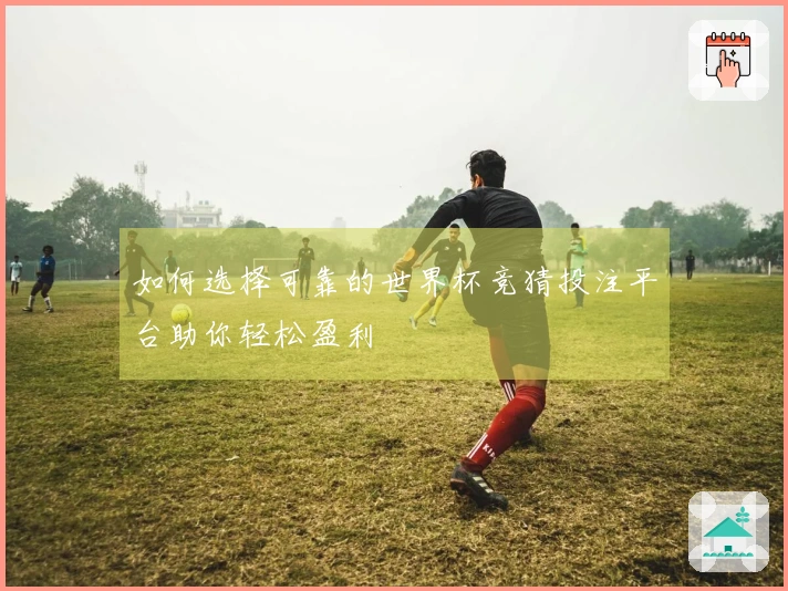 如何选择可靠的世界杯竞猜投注平台助你轻松盈利