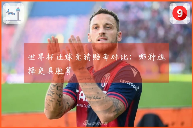 世界杯让球竞猜赔率对比：哪种选择更具胜算