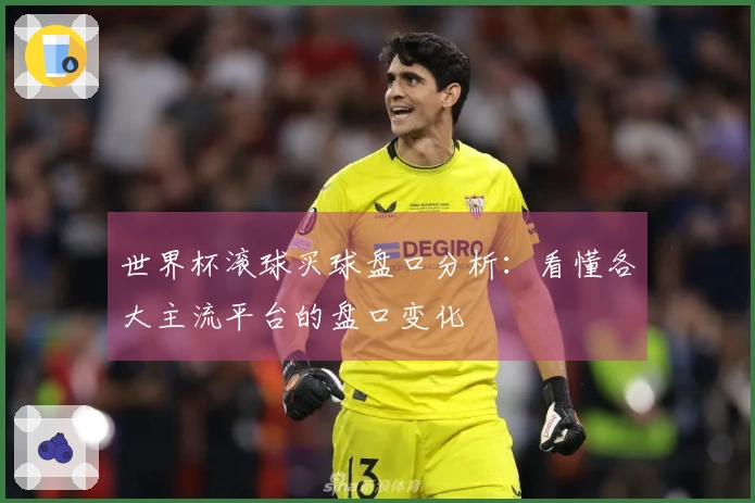 世界杯滚球买球盘口分析：看懂各大主流平台的盘口变化