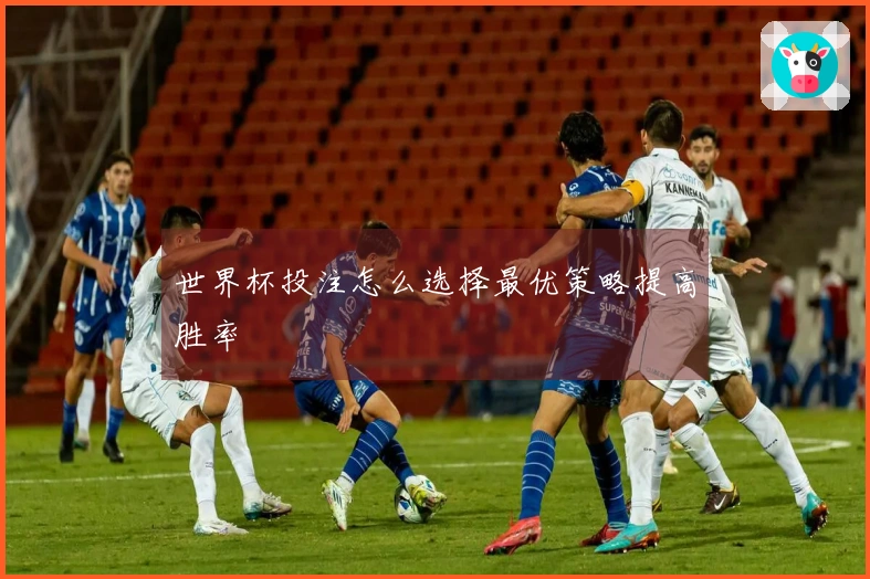 世界杯投注怎么选择最优策略提高胜率