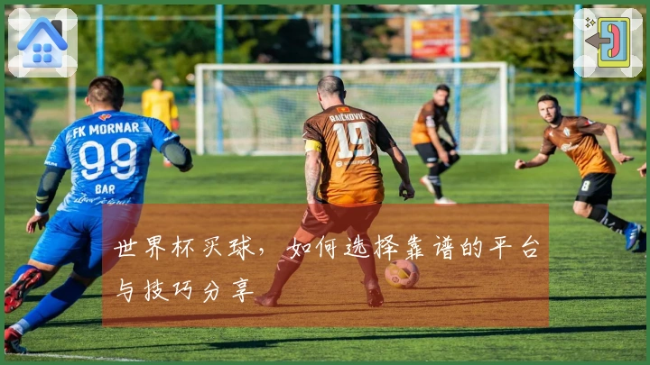 世界杯买球，如何选择靠谱的平台与技巧分享