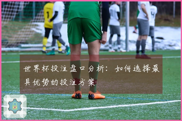 世界杯投注盘口分析：如何选择最具优势的投注方案