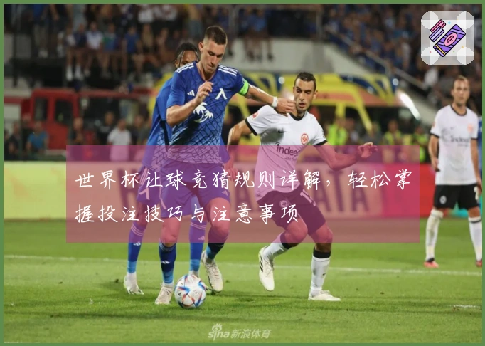 世界杯让球竞猜规则详解，轻松掌握投注技巧与注意事项